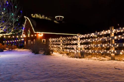 this image shows Commercial Christmas Fence line lighting installation Rancho Cordova, CA