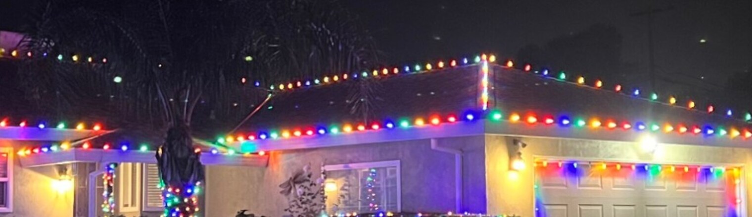 Professional christmas lights in Rancho Cordova, CA: multicolor c9 garage eave run